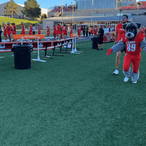 New Mexico Football GIF by UNM