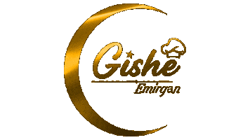 Gishe Sticker by gisheemirgan