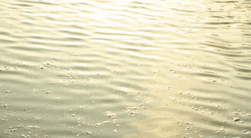 Joeyvdl water gold river flow GIF