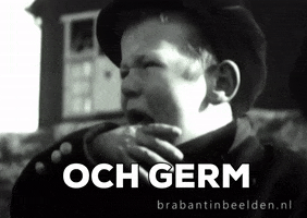 Aww Reaction GIF by Brabant in Beelden