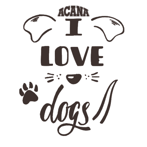 ACANA Sticker