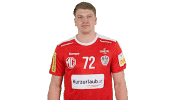 Handball Austria Sticker