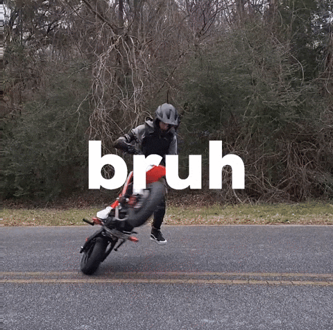 Stunt Wheelie GIF