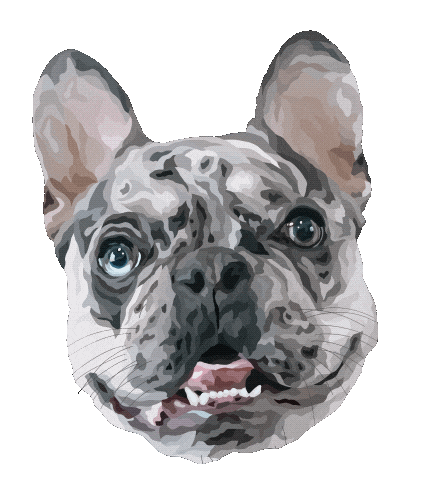 French Bulldog Dog Sticker by Floofsy