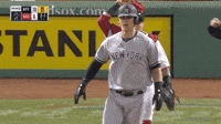 Red Sox Yankees GIFs