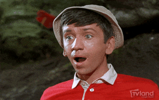 Gilligans Island Television GIF by TV Land Classic