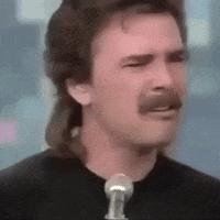 Whistle Mullet GIF by erichamlet