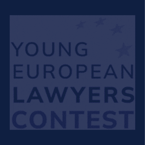 Summer School Justice GIF by Eurpean Academy of law