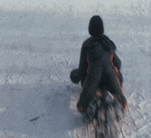 Snow Sledding GIF by US National Archives