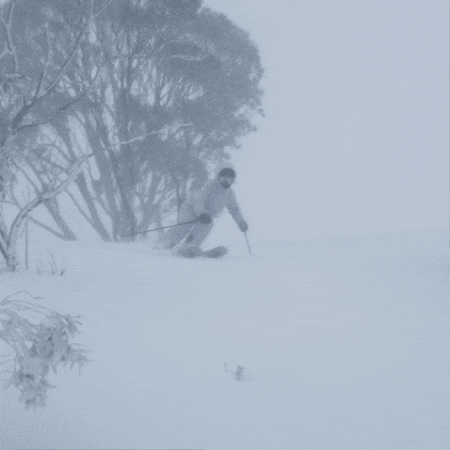 GIF by Thredbo