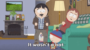 Celebrate In Your Face GIF by South Park