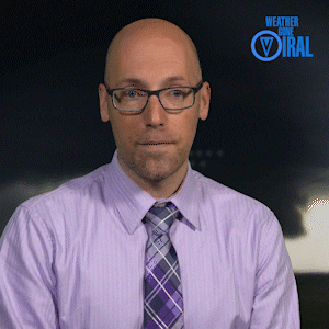 Reaction GIF by The Weather Channel