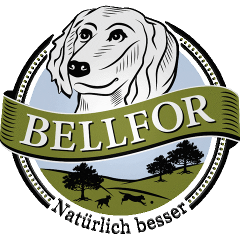 Bell4 Sticker by Bellfor