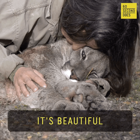 Animal Rescue GIF by 60 Second Docs