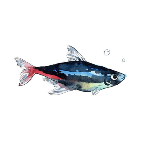 Sea Fish Sticker