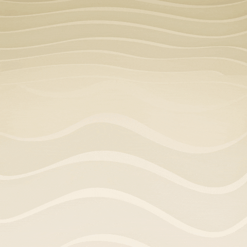 PineBeachBelek GIF
