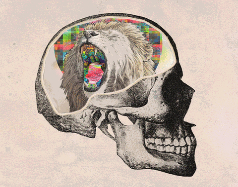 Giphy - visual art skull GIF