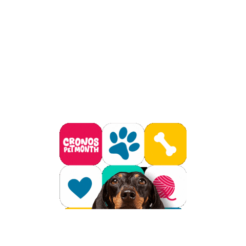 Pet Month Sticker by Cronos Logistics