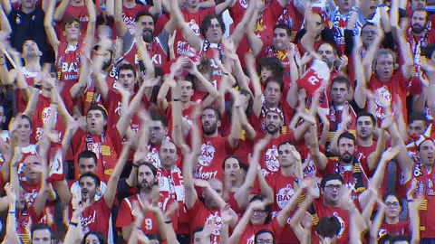 liga endesa applause GIF by ACB