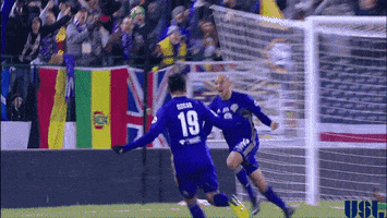 louisville city yes GIF by USL