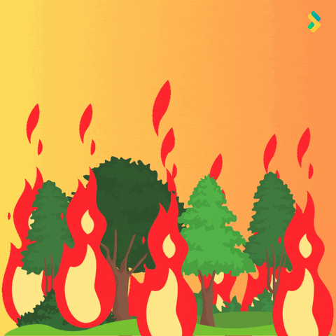 Climate Change Burn GIF by Bombay Softwares