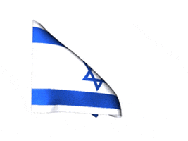 israel flag GIF