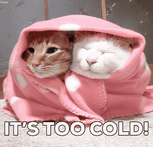Calor o frío