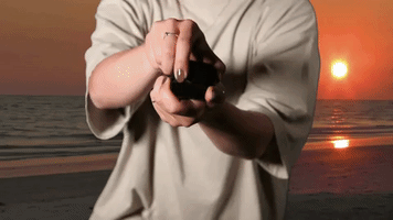 XVK art music proposal peanut GIF