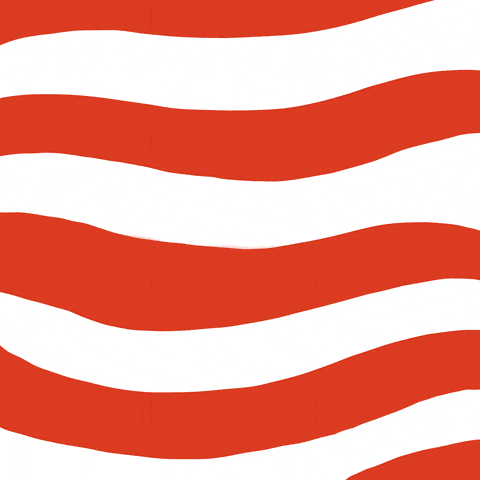 American Flag Democracy