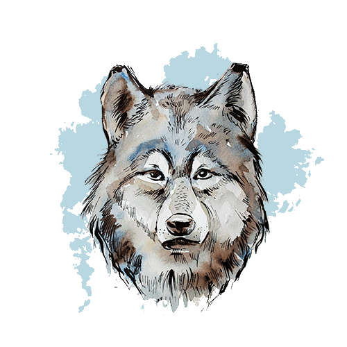 Wolf Pack Sticker by Shop Dixi for iOS & Android | GIPHY