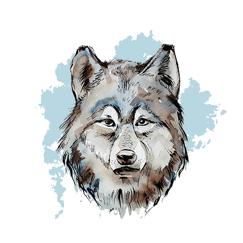 Wolf Pack Sticker by Shop Dixi for iOS & Android | GIPHY Wolf Pack Sticker by Shop Dixi for iOS & Android | GIPHY