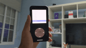 Animated GIF