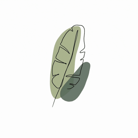 Цветок GIF