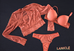 Laniclê Lingerie GIF