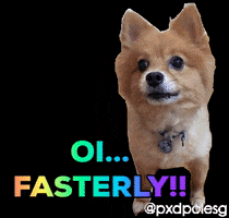 PXD Pole Studio GIF