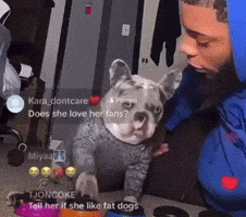 Animated GIF