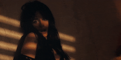Shawn Mendes Camila Cabello GIF by Shawn Mendes