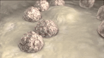 white blood cells GIF by DKMS US