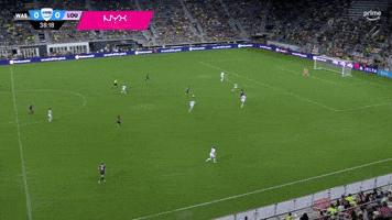 Washington Spirit Goal GIF by National Women's Soccer League
