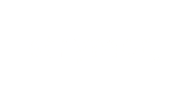 Lightning Bolts Sticker by Strymon