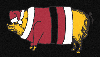 GIF by The Pit BBQ