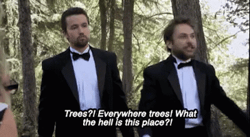charlie day forest GIF