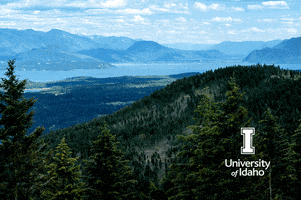 U Of I Home GIF by University of Idaho