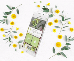 App Store Flower GIF by qgfloral