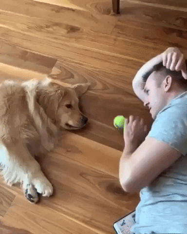 funny GIF by JustViral.Net