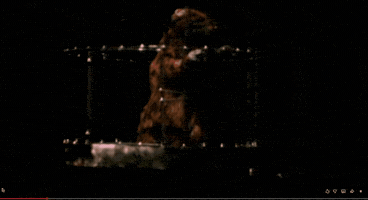 Master Splinter GIF by Chris City