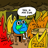 This is Not Fine Planet