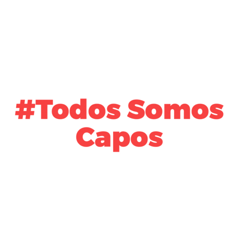 Capo Capacitaciones Sticker by Linkea2