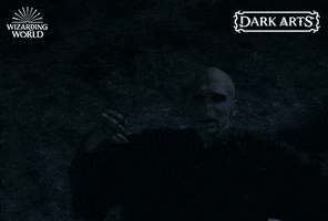 Deathly Hallows Magic GIF by Harry Potter