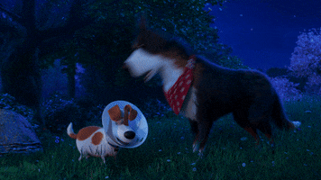 Sick Movie GIF by The Secret Life Of Pets
